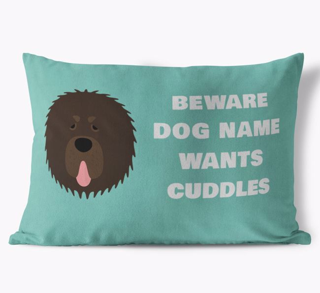 Beware of Cuddles: Personalised {breedFullName} Soft Touch Cushion